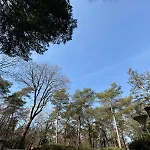 Veluwe Private Jacuzzi, Park Swimming Pool And Children's Entertainment *