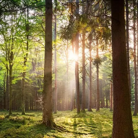 公寓 Veluwe Private Jacuzzi, Park Swimming Pool And Children's Entertainment *