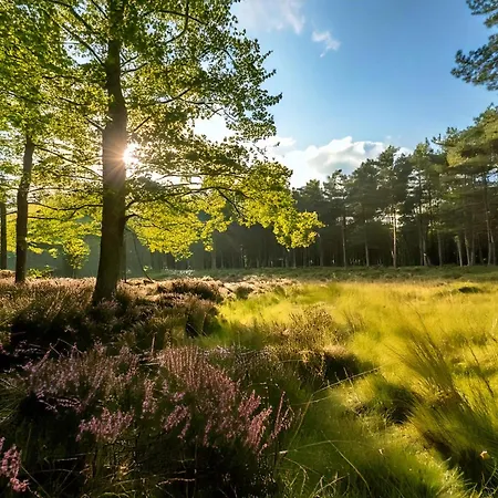 Veluwe Private Jacuzzi, Park Swimming Pool And Children's Entertainment * Hoenderloo
