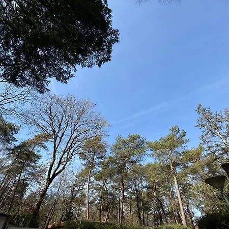Veluwe Private Jacuzzi, Park Swimming Pool And Children's Entertainment *