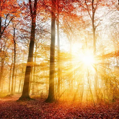 Appartamento Veluwe Private Jacuzzi, Park Swimming Pool And Children's Entertainment