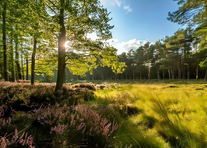 Veluwe Private Jacuzzi, Park Swimming Pool And Children's Entertainment * Hoenderloo