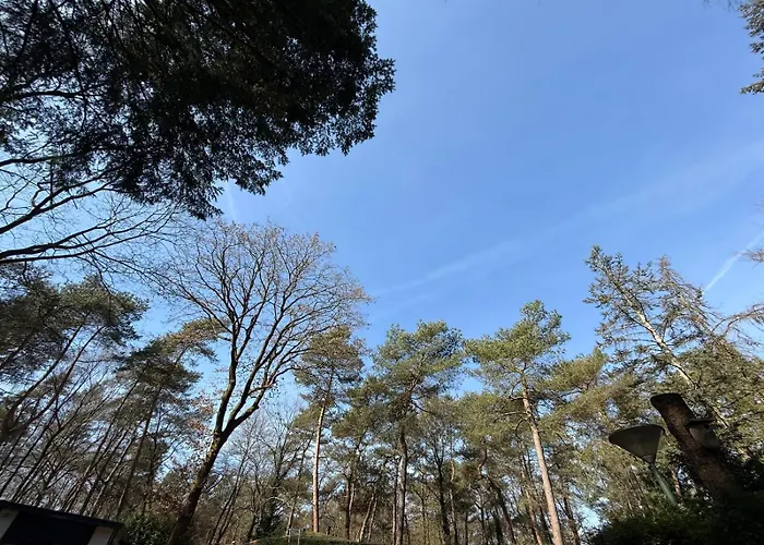 Veluwe Private Jacuzzi, Park Swimming Pool And Children's Entertainment *