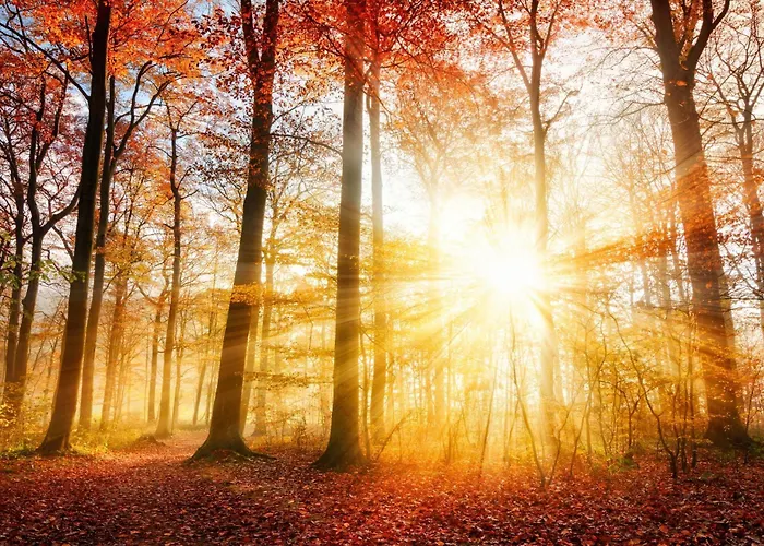 Apartament Veluwe Private Jacuzzi, Park Swimming Pool And Children's Entertainment