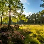 Veluwe Private Jacuzzi, Park Swimming Pool And Children's Entertainment * Hoenderloo