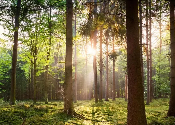 Lägenhet Veluwe Private Jacuzzi, Park Swimming Pool And Children's Entertainment *